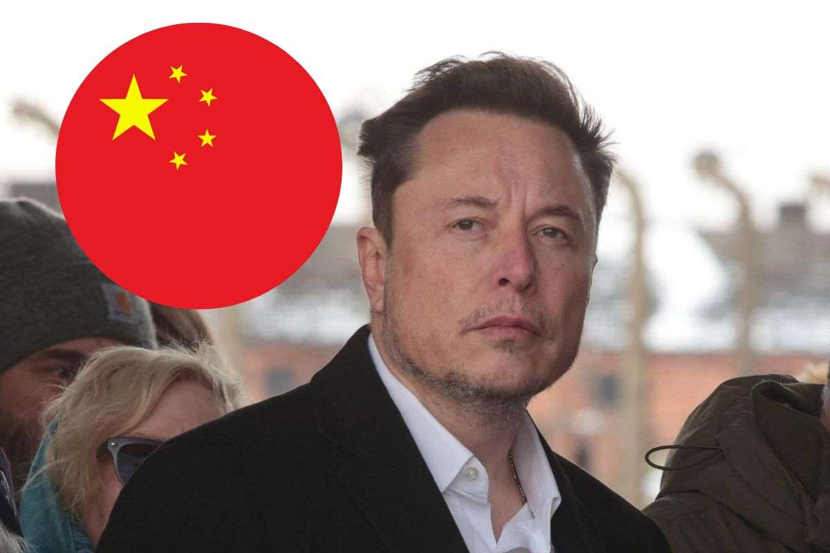 Tesla richiesta Musk investimento Buffet