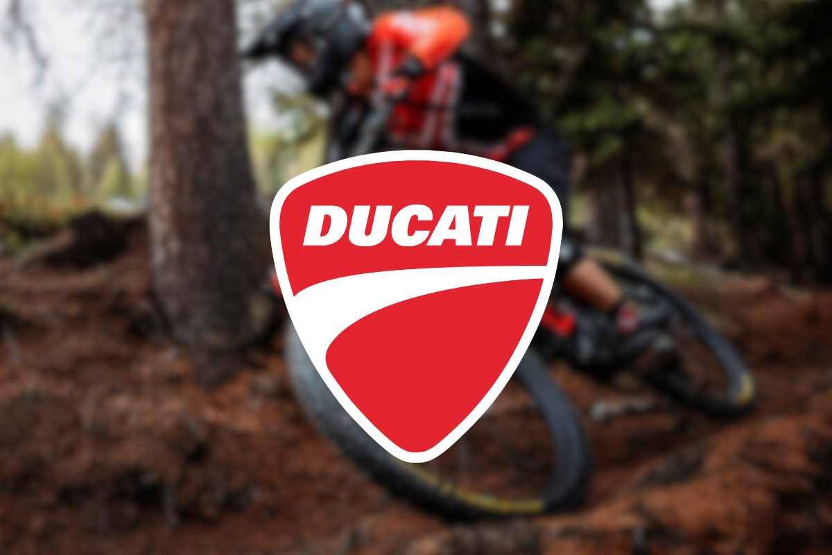 Ducati ultimo modello