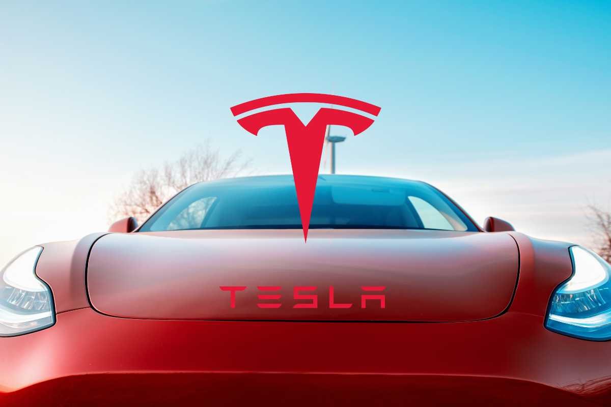 Tesla nuovo modello foto spia