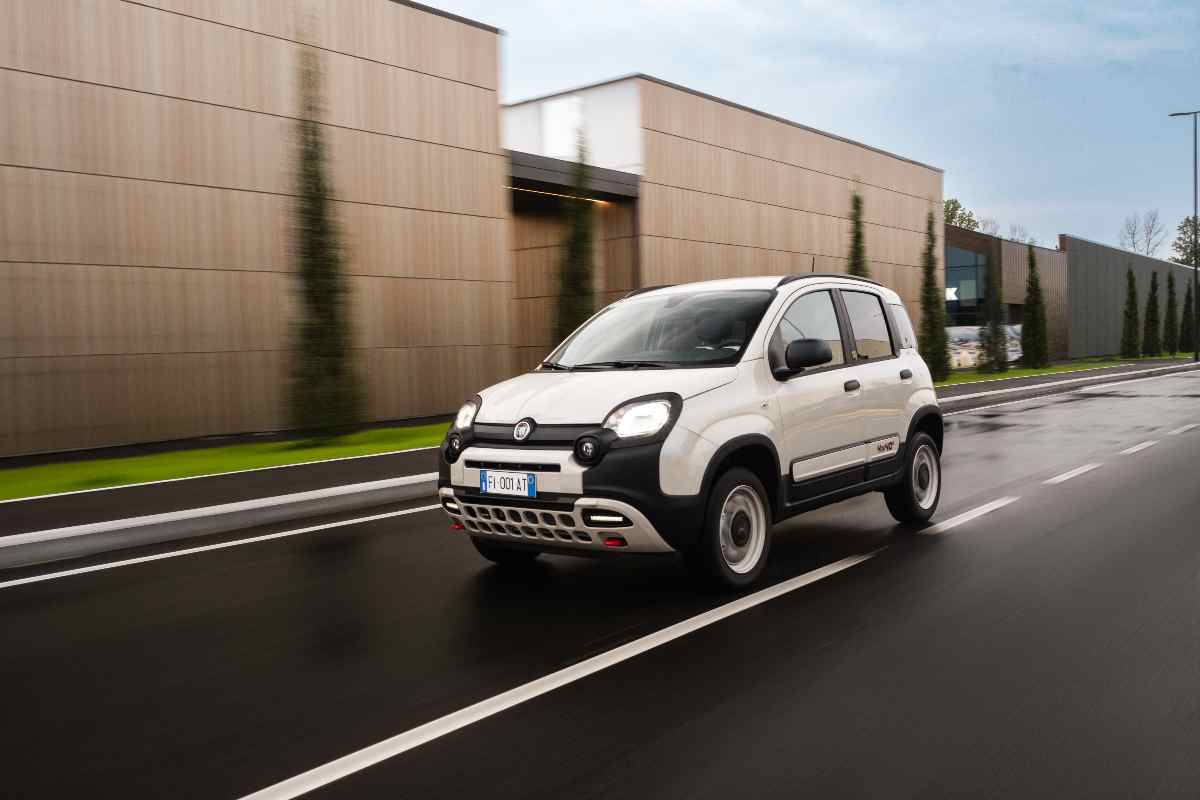 Fiat Panda vendite Giugno 2024