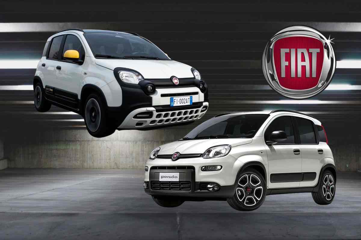 FIAT Panda o FIAT Pandina, quali sono le differenze