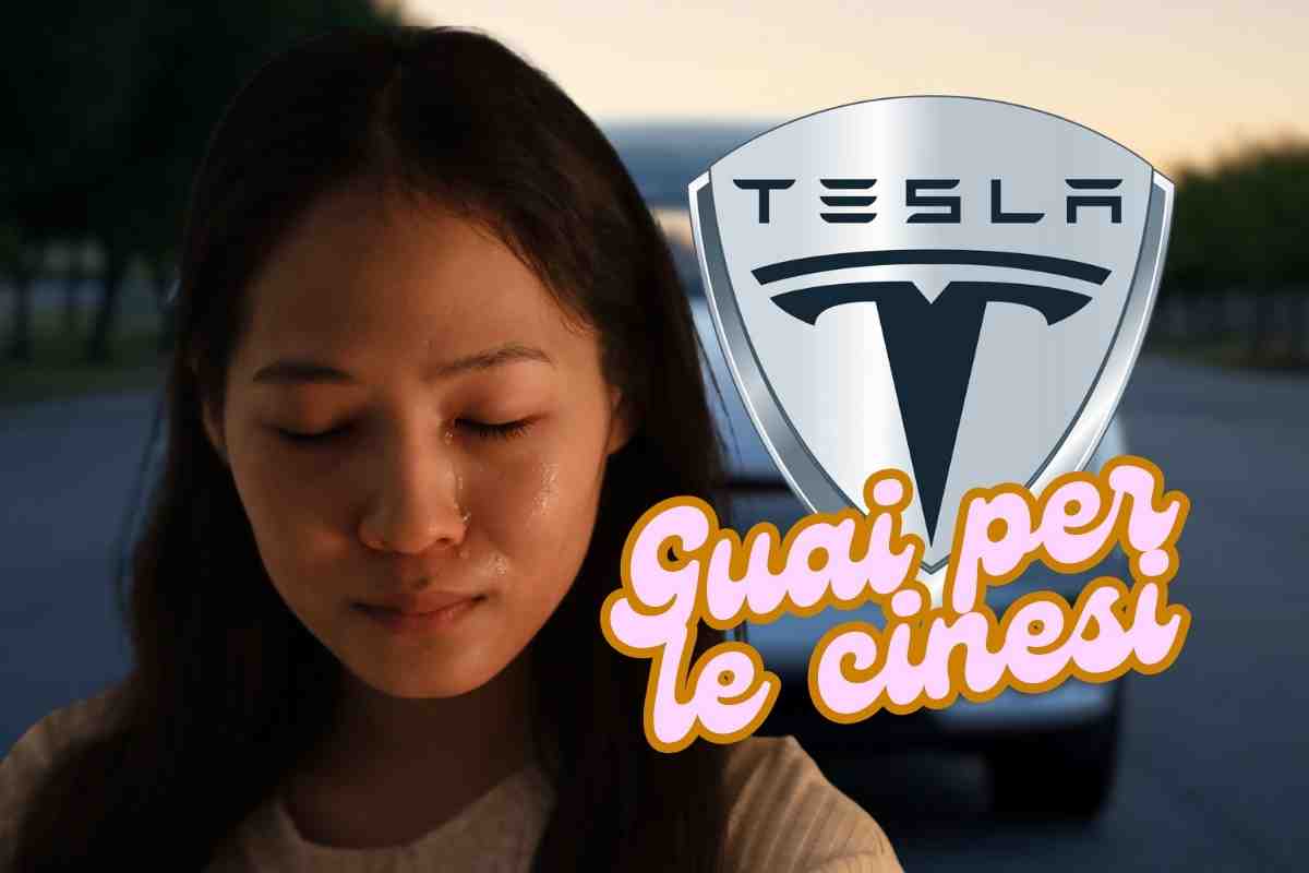 Tesla low cost